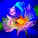 fantastische-bloemen-bloemblad-blauwe-achtergrond (1)