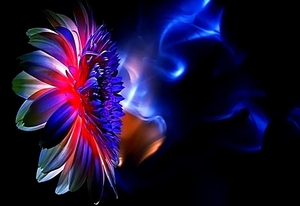 fantastische-bloemen-fractal-duisternis-grafisch-ontwerp-achtergr