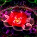 fantastische-bloemen-fractal-roze-bloemblad-achtergrond