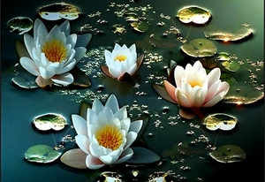 fantastische-bloemen-heilige-lotus-bloemblad-achtergrond