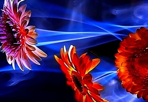 fantastische-bloemen-oranje-bloemblad-achtergrond