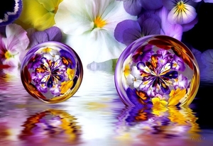 fantastische-bloemen-paarse-gele-achtergrond