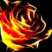 fantastische-bloemen-vlammen-brand-fractal-achtergrond