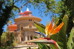 gardens_outside_the_palace_of_monserrate_in_sintra__27998693116_