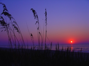 myrtle_beach_sunrise1