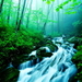 natuur-stroom-waterval-jungle-achtergrond