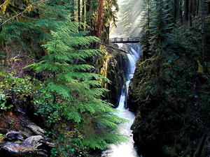 natuur-waterval-woud-stroom-achtergrond