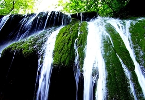 nerei-beusnita-ravine-national-park-waterval-roemenie-natuur-acht