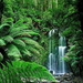 waterval-australie-natuur-oudgroeiend-bos-achtergrond