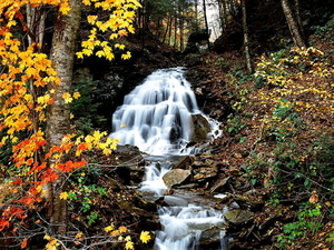 waterval-natuur-stroom-herfst-achtergrond (1)