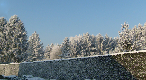 dorp - winterlandschap - sneeuw