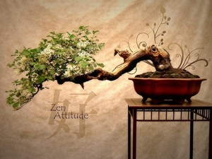 kamerplant-bonsai-stilleven-ikebana-achtergrond