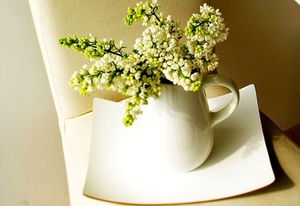 stilleven-witte-bloemen-snijbloemen-achtergrond