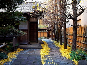 huis-bloemen-pad-herfst-achtergrond