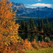 herfst-landschap-larix-lyalliisubalpine-lariks-natuur-bergen-acht