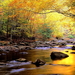 herfst-landschap-natuur-stroom-rivier-achtergrond