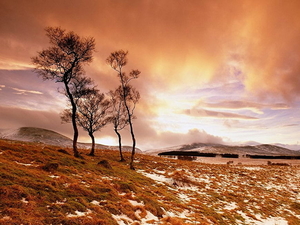 herfst-landschap-natuur-wolken-ochtend-achtergrond