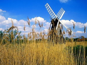 herfst-landschap-windmolen-wind-veld-achtergrond