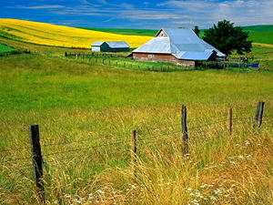 landschappen-prairie-weide-boerderij-achtergrond