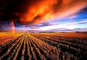 regenboog-veld-natuur-horizon-achtergrond