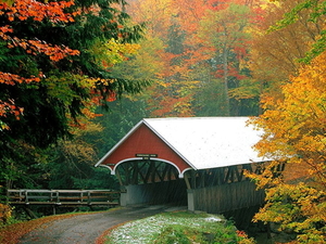 herfst-landschap-natuur-bultrug-brug-achtergrond