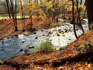 herfst-landschap-natuur-rivier-achtergrond
