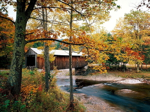 natuur-herfst-landschap-bultrug-brug-achtergrond