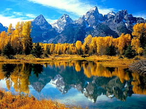 natuur-reflectie-larix-lyalliisubalpine-lariks-herfst-landschap-a