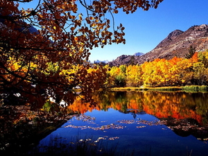 reflectie-natuur-meer-herfst-achtergrond