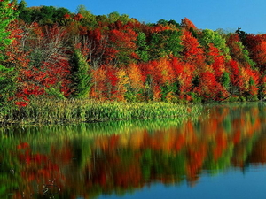 herfst-landschap-reflectie-natuur-meer-achtergrond