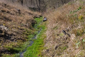 a_streamlet_and_a_boy_in_lviv_region_of_ukraine_in_march_2014