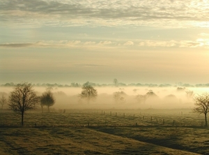 nebelostfriesland