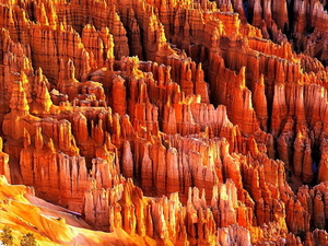 bryce-canyon-national-park-utah-verenigde-staten-van-amerika-rots