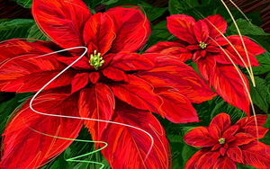 bloemen-vrolijk-kerstfeest-rode-flora-achtergrond
