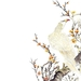 chinese-schilderkunst-kunst-bloemen-illustratie-achtergrond
