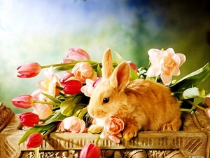 konijn-tamme-bloemen-stilleven-achtergrond