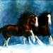 paard-manen-dieren-mustang-achtergrond