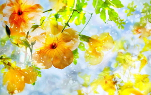 tederheid-gele-bloemen-aquarel-verf-achtergrond