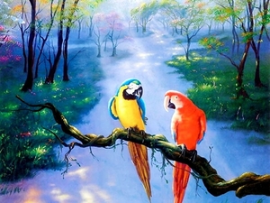 vogel-papegaai-natuur-ara-achtergrond