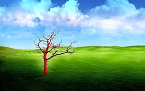natuur-groene-wolken-weide-achtergrond