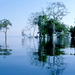 natuur-voor-dubbele-monitoren-reflectie-bayou-achtergrond