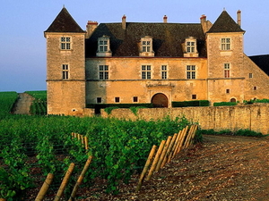 clos-de-vougeot-frankrijk-kasteel-achtergrond