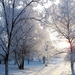 sneeuw-winter-vorst-natuur-achtergrond (1)