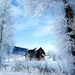 winter-sneeuw-vorst-huis-achtergrond