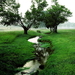 natuur-groene-veld-rivier-achtergrond