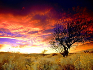natuur-wolken-horizon-zonsopkomst-achtergrond