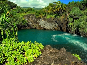 natuur-hawai-rotsen-groene-achtergrond