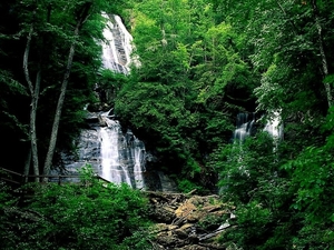natuur-waterval-oudgroeiend-bos-woud-achtergrond