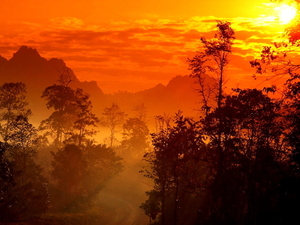 natuur-zonsopkomst-zonsondergang-mist-achtergrond