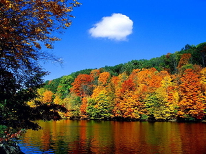 herfst-natuur-reflectie-rivier-achtergrond
